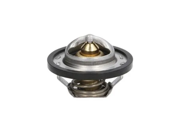 Thermostat, coolant (D2R001TT)