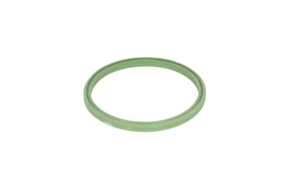 Seal Ring, charge air hose (DXW008TT)