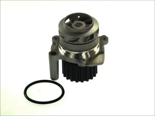 Water Pump, engine cooling (D1W048TT)