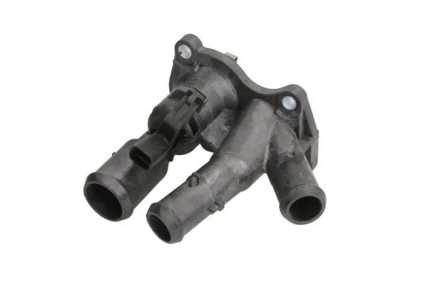 Thermostat, coolant (D2G016TT)
