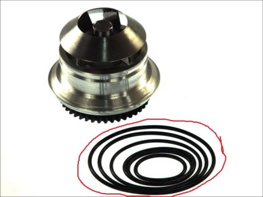 Water Pump, engine cooling (SALE-D1W051TT)