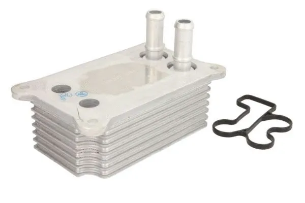 Oil Cooler, engine oil (D4G004TT)