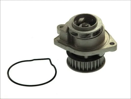 Water Pump, engine cooling (D1W022TT)