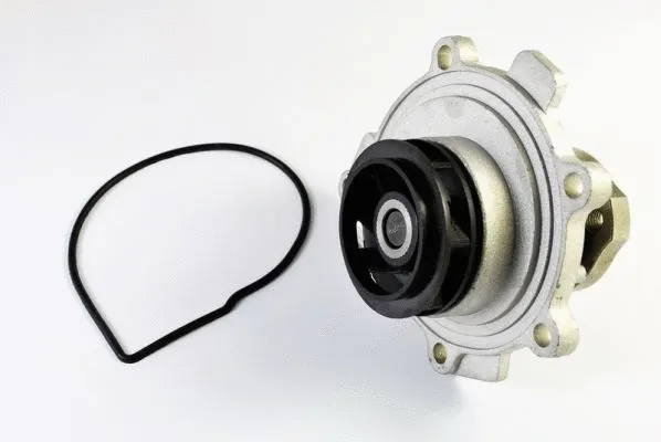 Water Pump, engine cooling (D1X047TT)
