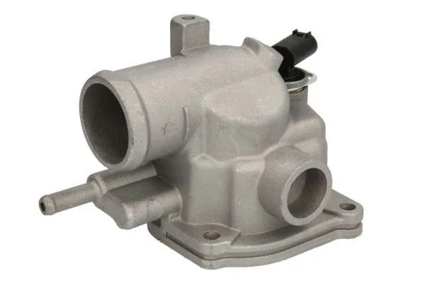 Thermostat, coolant (D2M008TT)