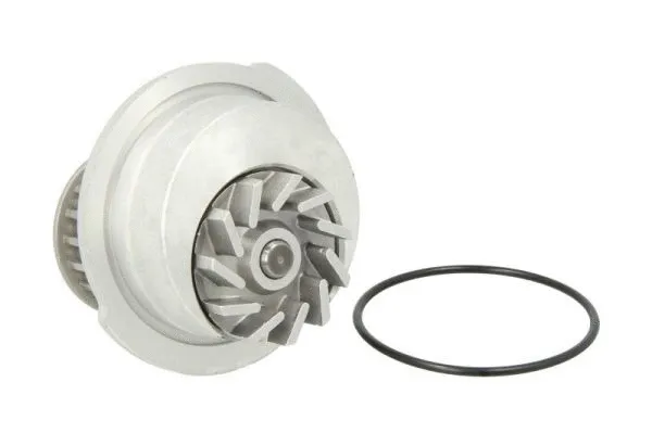 Water Pump, engine cooling (D1X012TT)