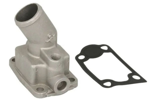 Thermostat, coolant (D2E001TT)