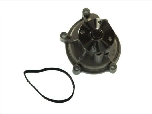 Water Pump, engine cooling (D1M051TT)