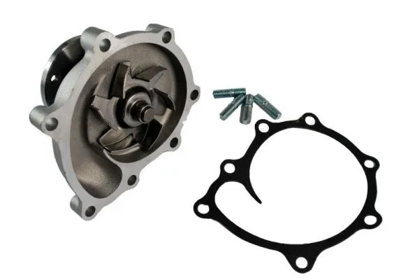 Water Pump, engine cooling (D10312TT)
