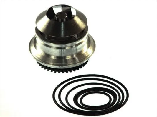 Water Pump, engine cooling (D1W051TT)