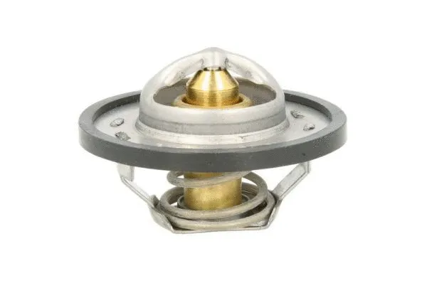 Thermostat, coolant (D2R004TT)
