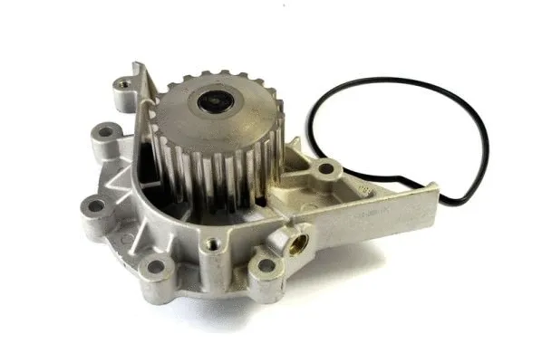 Water Pump, engine cooling (D1P040TT)
