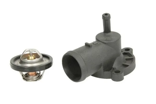 Thermostat, coolant (D2S003TT)