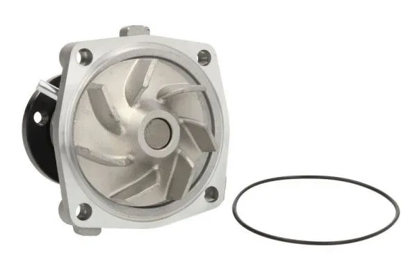 Water Pump, engine cooling (D1G042TT)