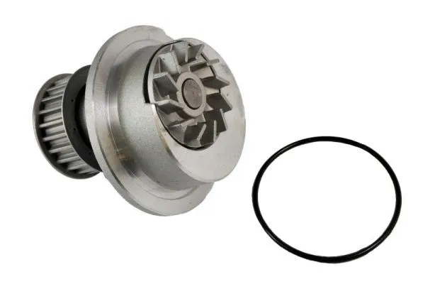 Water Pump, engine cooling (D1X024TT)