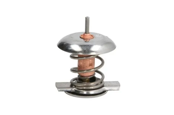 Thermostat, coolant (D2Y002TT)