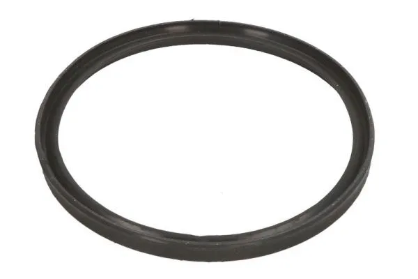 Seal Ring (DCB086TT)
