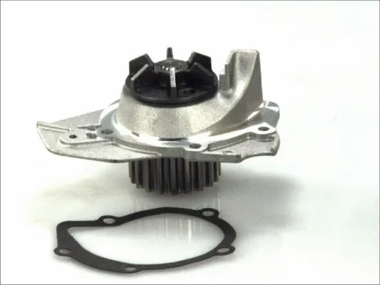 Water Pump, engine cooling (D1P005TT)