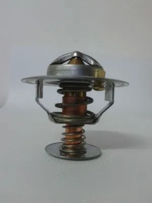 Thermostat, coolant (D2CA002TT)