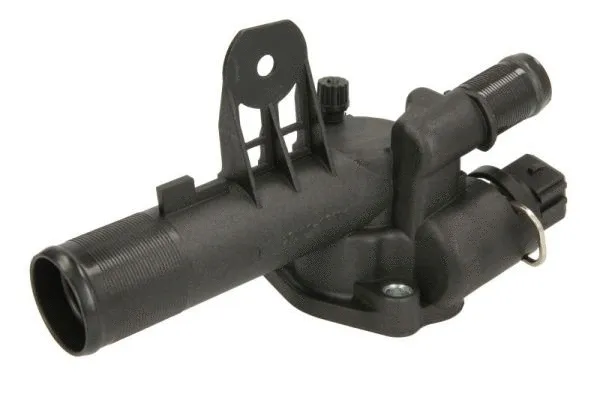 Thermostat, coolant (D21001TT)