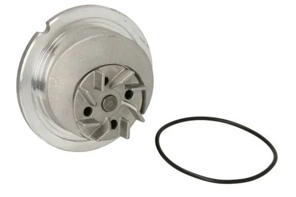 Water Pump, engine cooling (D1X041TT)