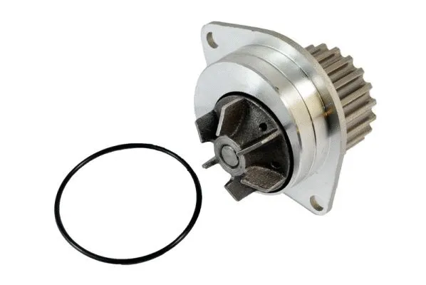 Water Pump, engine cooling (D1P019TT)
