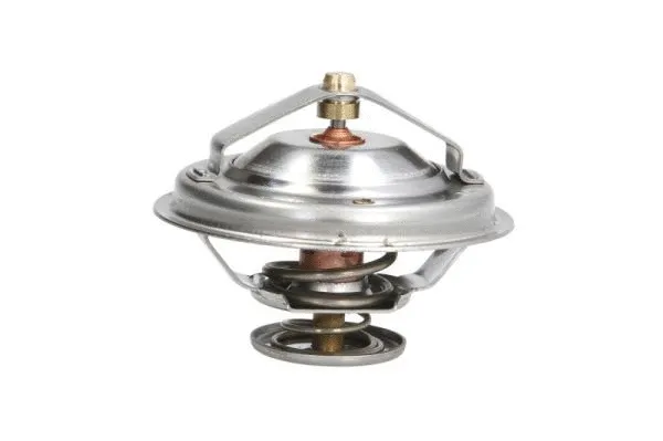Thermostat, coolant (D2M003TT)