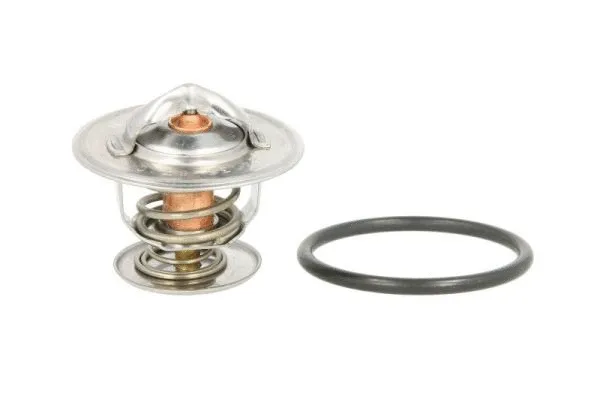 Thermostat, coolant (D2A001TT)