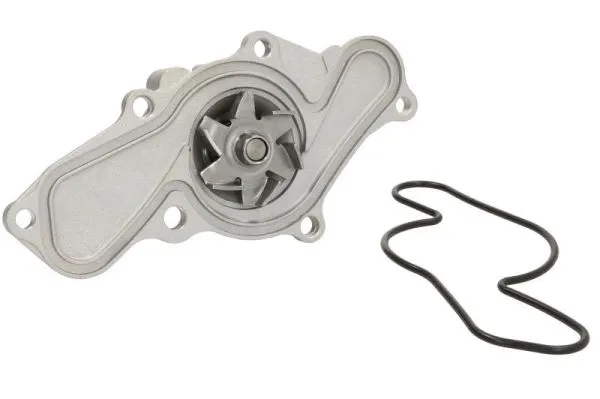 Water Pump, engine cooling (D13025TT)