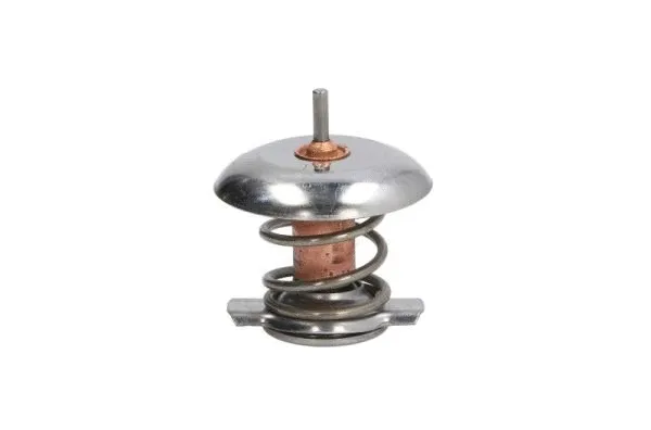 Thermostat, coolant (D2V001TT)