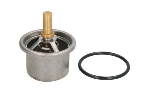 Thermostat, coolant (D2DA007TT)