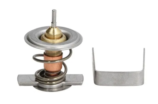 Thermostat, coolant (D2X009TT)
