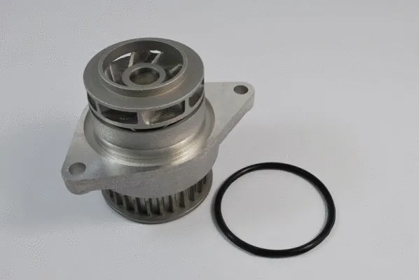 Water Pump, engine cooling (D1W024TT)