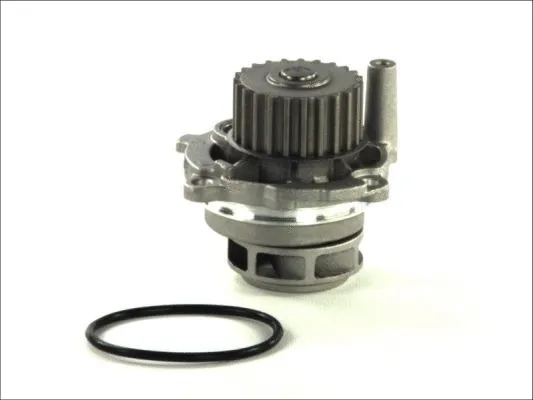 Water Pump, engine cooling (D1W028TT)