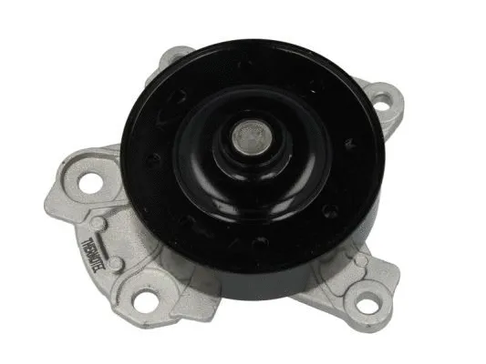 Water Pump, engine cooling (D12096TT)