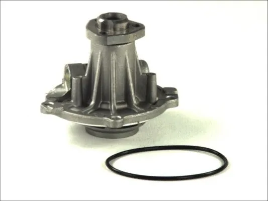 Water Pump, engine cooling (D1W026TT)