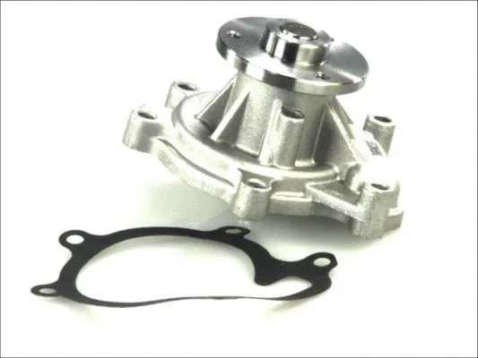 Water Pump, engine cooling (D12073TT)
