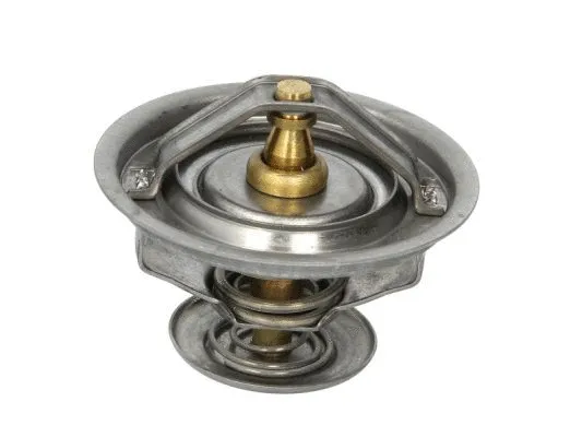 Thermostat, coolant (D2RV003TT)