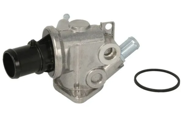 Thermostat, coolant (D2D004TT)
