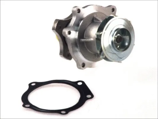 Water Pump, engine cooling (D1Y033TT)