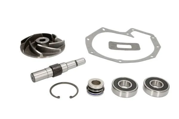 Repair Kit, water pump (WP-DF101RK)