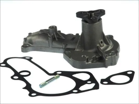 Water Pump, engine cooling (D13019TT)