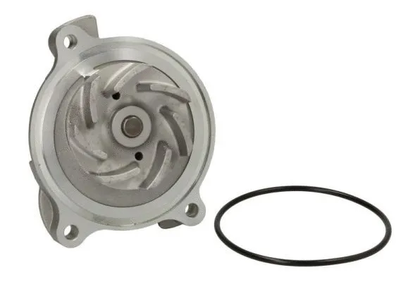 Water Pump, engine cooling (D1W018TT)