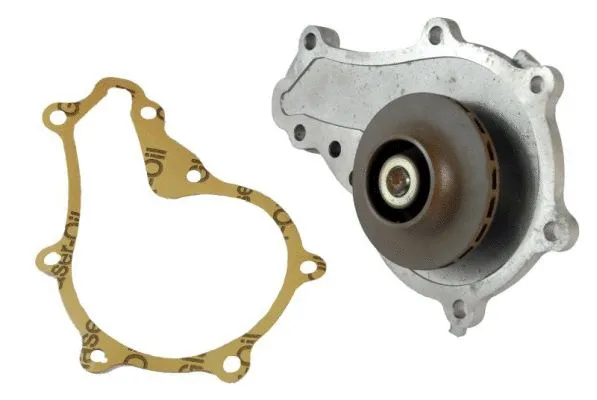 Water Pump, engine cooling (D1P036TT)