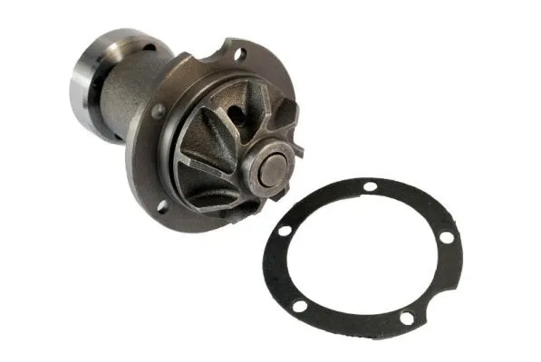 Water Pump, engine cooling (D1M006TT)