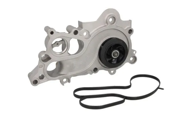 Water Pump, engine cooling (D1W063TT)