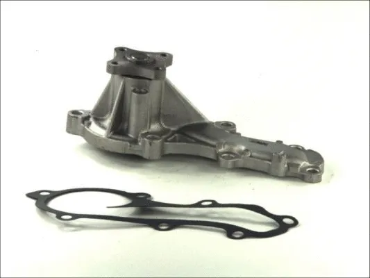 Water Pump, engine cooling (D11069TT)