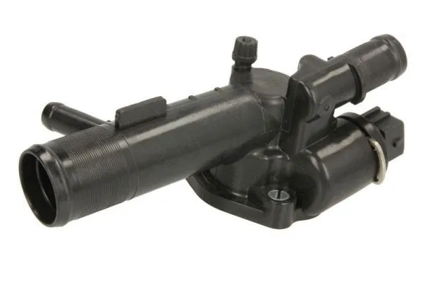 Thermostat, coolant (D2R006TT)