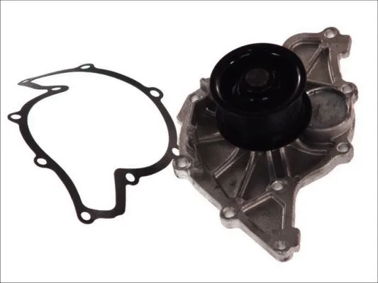 Water Pump, engine cooling (D1W047TT)