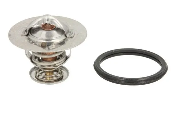 Thermostat, coolant (D22002TT)